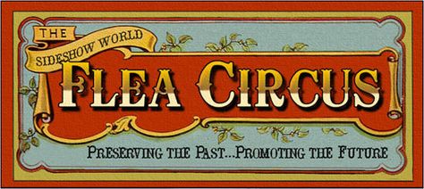 flea circus invite Circus Signage, Circus Signs, Old Circus, Vintage Circus Posters, Circus Acts, Circus Sideshow, Circus Poster, The Great, Sign Writing