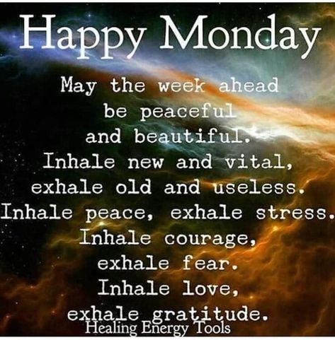 100+ Happy Monday 2023 Quotes, IG Captions, Messages And More Good Morning Poems, Good Morning Motivational Messages, Happy Monday Images, Monday Face, Monday Wishes, I Love You Dear, Monday Greetings, Quotes Monday, Monday Prayer