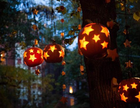Hanging pumpkin lanterns in Beacon Hill Lanterns Hanging From Trees, Pumpkin Lanterns, Halloween Attractions, Halloween Eve, Autumn Magic, New Lifestyle, Scary Costumes, Beacon Hill, Halloween Lights