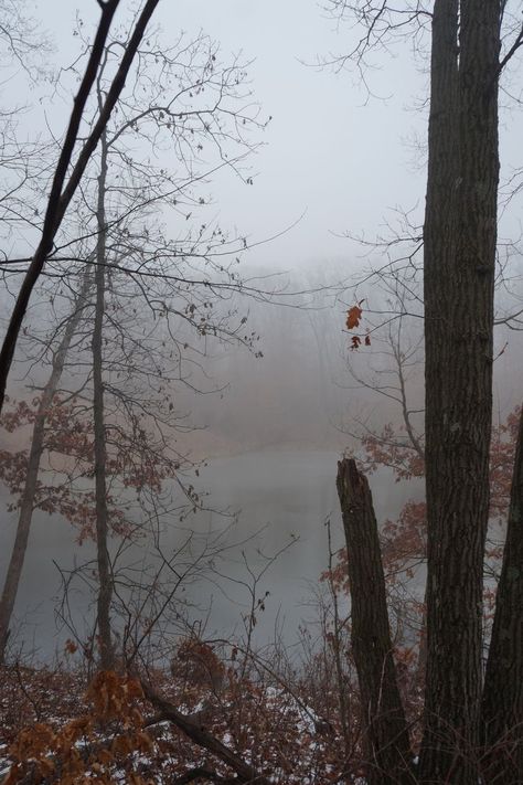 Is there anything sadder than mourning great loss in a month that seems full of love and hope and happiness for others. Not that I begrudge them. But it is still sad. Nature, Meditation, Daily Walk, Full Of Love, A Month, Of Love, The Outsiders