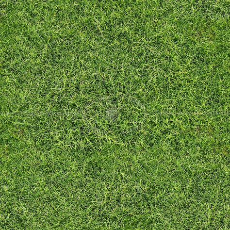 Green grass texture seamless 13048 Grass Texture Seamless, Grass Photoshop, Grass Seamless, Grass Texture, Too Faced Eyeshadow, Frame Wall Collage, Grass Textures, Floor Texture, Grass Flower