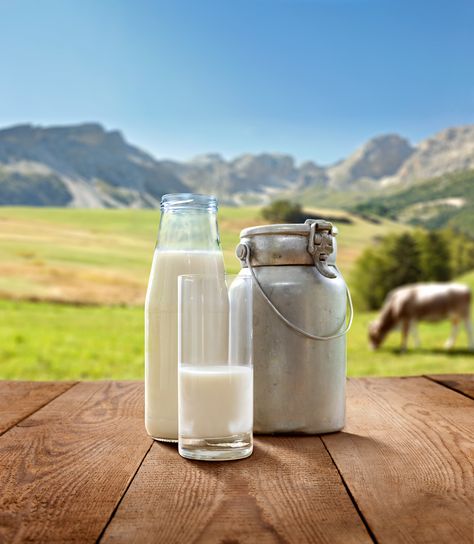 Milk from the mountains tastes way better!   #Loacker #milk #ingredients Dairy Products Photography, Liquid Cheese, Milk Photography, Dairy Brands, Farm Fresh Milk, Healthy Dog Treats Homemade, Farm Cow, Charcuterie And Cheese Board, Organic Milk