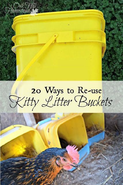 20 ways to upcycle cat litter buckets in your home, garage, garden and homestead! Kitty Litter Container Ideas Diy, Upcycling, Repurposed Kitty Litter Buckets, Kitty Litter Container Reuse, Kitty Litter Bucket Repurpose, Repurposed Cat Litter Bucket, Cat Liter, Tidy Cat Litter, Gardening Wallpaper