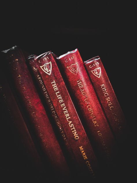 Dark Red Book Aesthetic, Red Writer Aesthetic, Books Red Aesthetic, Red Aesthetic Books, Gray And Red Aesthetic, Red Books Aesthetic, Red Book Aesthetic, Red And Brown Aesthetic, Red Dark Aesthetic