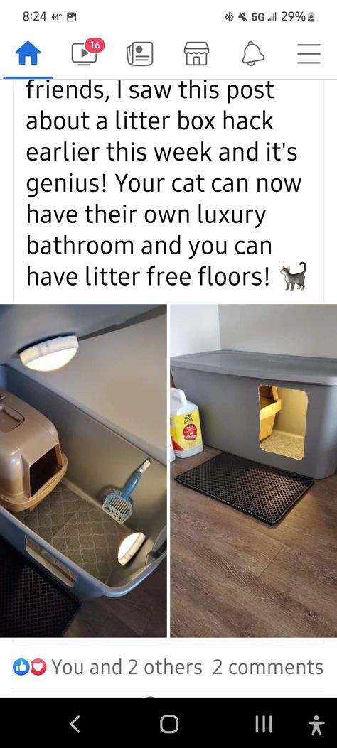 Cute Cat Area Ideas, Apartment Cat Litter Ideas, How To Hide Multiple Litter Boxes, Cat Proof Home Decor, Cats In Dorm Rooms, Cat Proof Furniture Sofas, Kitten Corner Ideas, Dorm Cat Setup, Cat Rescue Room