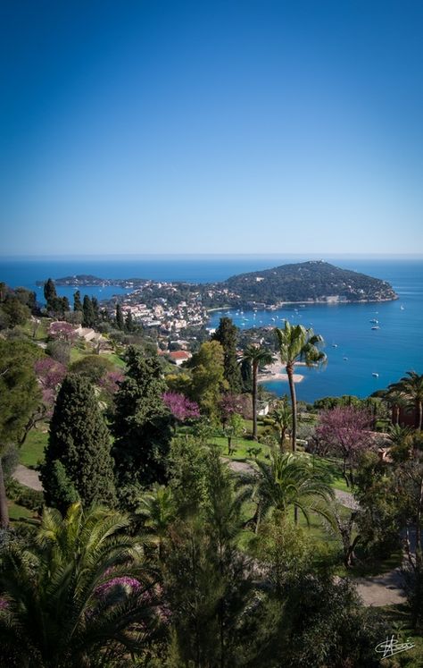 view from la Moyenne Corniche to St Jean Cap Ferrat, France. Provence France, Nice France Photography, Saint Raphael, Juan Les Pins, Beautiful Trees, Cote D Azur, French Culture, Beautiful Sites, Nice France