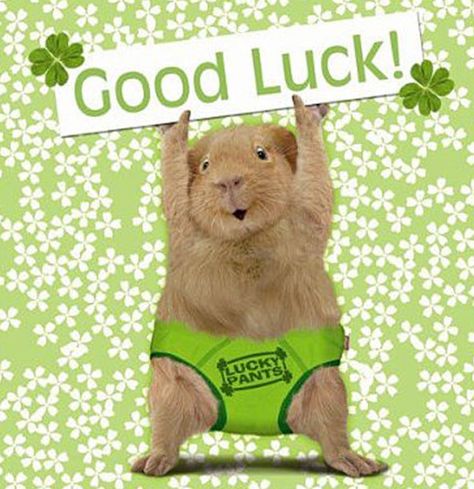 Hey, I wanted to Wish You Good Luck today! Why? Because wishing you good luck helps you perform better. It’s true! Multiple research studies prove it. So ask someone to wish you luck right before a presentation, asking for a raise, a date or going for it in general!   Give it a try. Pass along a good luck wish by posting this to your FB page. Your friends and their performance will thank you! Humour, Minions, Goodluck Message, Exam Good Luck Quotes, Exam Pictures, Good Luck For Exams, Good Luck Gif, Good Luck Today, Good Luck Wishes