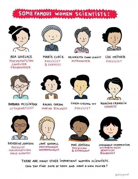 @CurtisSChin: '@MatthewHanchard For your & your #daughter's refrigerator door or bedroom wall... A favorite poster of some famous women scientists.  And check out @EliseGravel whose work underscores that girls like boys can be whatever they want. #girlsinSTEM. #womeninSTEM cc: @fayfeeney @sofiabiologista ' Lise Meitner, Barbara Mcclintock, Elise Gravel, Rosalind Franklin, Famous Scientist, Katherine Johnson, Women Scientists, Computer Programmer, Jane Goodall