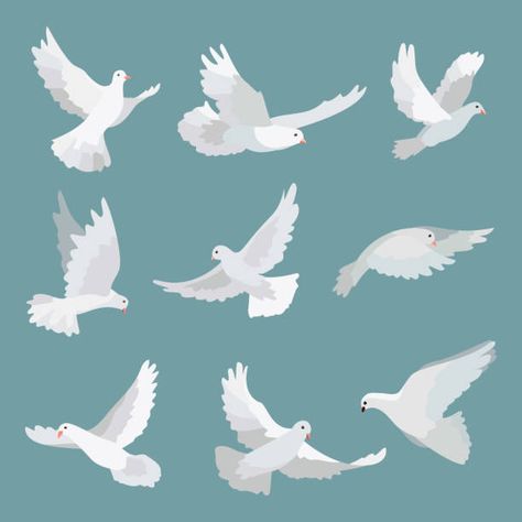 Vector Bird, Dove Drawing, Dove Painting, Fly Drawing, Peace Bird, Anime W, Spiritual Paintings, Peace Illustration, Dove Bird