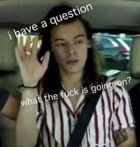 Gambar One Direction, Harry Styles Memes, Response Memes, Harry Styles Funny, Current Mood Meme, Memes Lol, Text Memes, One Direction Humor, Snapchat Funny