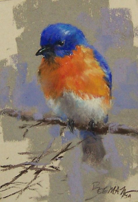 Bluebird Painting, Pastel Artwork, Chalk Pastels, Paintings I Love, Arte Animal, Watercolor Bird, Pastel Art, Pastel Painting, Birds Painting