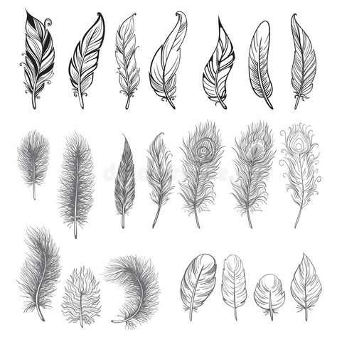 Small Feather Tattoo, Feather Drawing, Kunst Tattoos, Feather Vector, Feather Tattoo Design, Background Set, Feather Tattoo, Ink Illustration, Feather Art