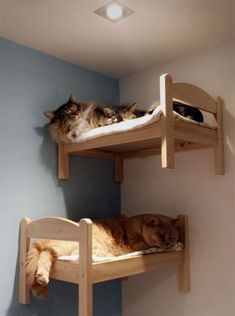 IKEA Sells Mini Beds For Children's Toys, People Buy Them For Their Cats (30 Pics) Ikea Doll Bed, Katt Diy, Unique Cat Trees, Tre Kunst, Katt Grejer, Koti Diy, Chat Diy, Cat Wall Furniture, Diy Cat Tree