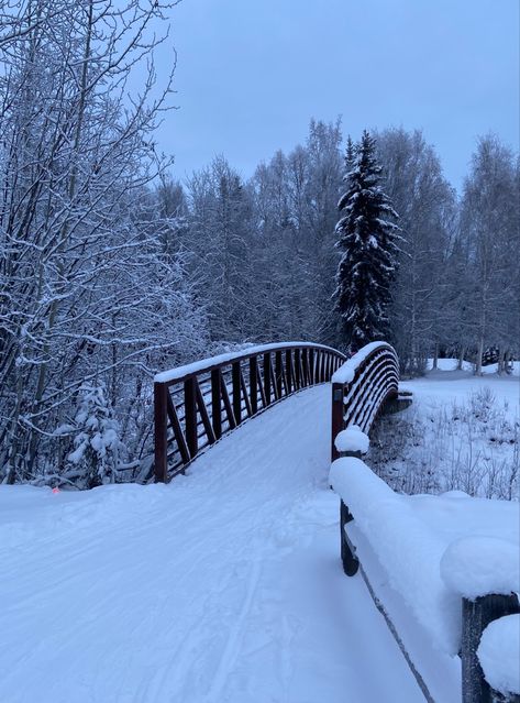 Nature, Fairbanks Alaska Winter, Winter Core, City In Winter, Cold Places, Aesthetic Scenery, Alaska Winter, Snowy Cabin, Snow Outside
