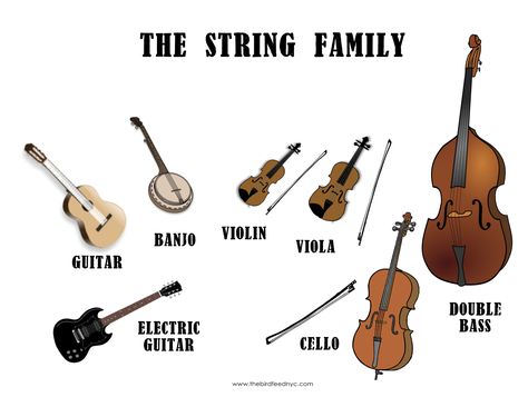 The String family: when playing an instrument in the string family, one can use his or her fingers to strum the string or draw a bow across the strings to make them vibrate. The vibrations are pretty quiet, so a a hollow part of the instruments body amplifies the sound. the Head of the instruments is where one end of the string is attached. Using knobs, you can tune your instrument to play different frequencies. Instrument Families, Kids Musical Instruments, Woodwind Instrument, Learn Violin, Classical Conversations, Percussion Instruments, Learn Music, Learn English Vocabulary, Music Activities