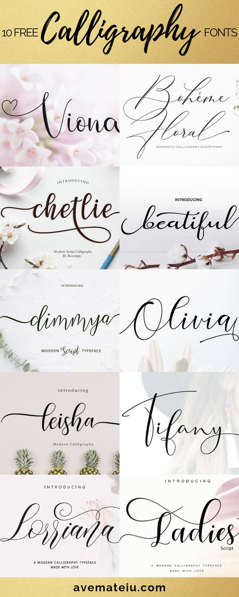 Fonts Professional, Fonts Simple, Fonts Elegant, Typography Handwritten, Rustic Fonts, Fancy Script Font, Simple Fonts, Fonts Art, Fonts Modern