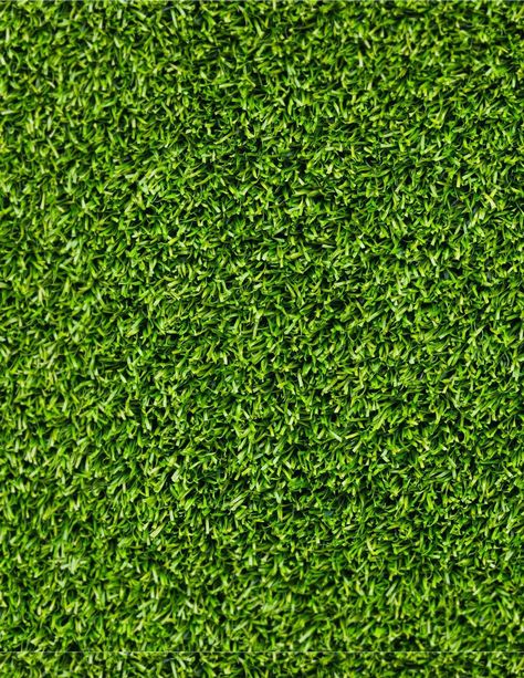 Grass Texture Seamless, Grass Seamless, Jardin Vertical Artificial, Grass Texture, Grass Textures, Outdoor Carpet, Tiles Texture, Material Textures, Seamless Textures