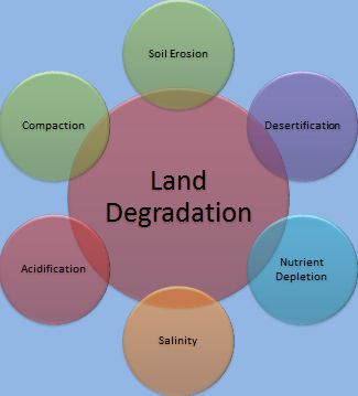 Land Degradation Land Degradation, Global Issues, Learn Facts, Year 8, Self Determination, Poster Drawing, Energy Use, Indigenous Peoples, Human Rights