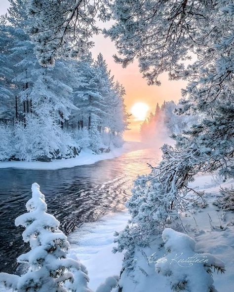 Finland Winter, Wallpaper Winter, Winter Sunrise, National Parks Photography, Good Morning Beautiful Pictures, Scenery Pictures, Winter Magic, Winter Scenery, Winter Flowers