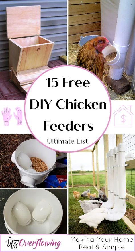 15 Homemade DIY Chicken Feeder Ideas Hanging Chicken Feeder Diy, Chicken Coop Ideas Feeders, Automatic Chicken Feeder Pvc, Chicken Toys Ideas Easy Diy, Diy Chicken Coop Feeder Ideas, Pvc Chicken Feeders, Ideas For Chicken Feeder Trough, Diy Chicken Gravity Feeder, Diy Chook Feeder