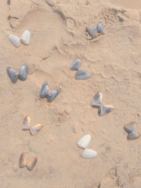 Precious Core Aesthetic, Beach Shells Aesthetic, Sea Girl Aesthetic, Seashell Butterfly, Draw Nails, Mi Team, Unknown Picture, Sea Life Animals, Blue Champagne