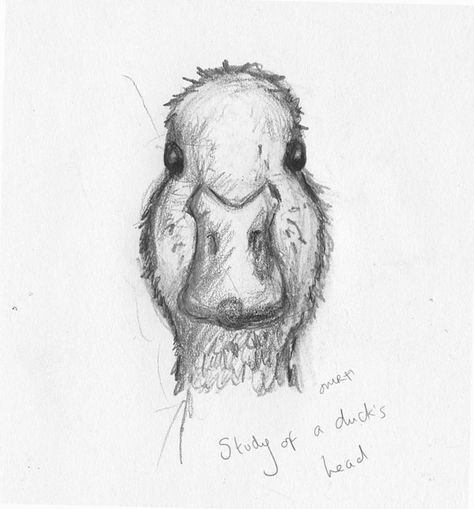 Duck Drawings Sketches, Duck Head Tattoo, Duck Head Drawing, Duck Drawing Realistic, Cool Stuff To Draw Creative, Pencil Tattoo Ideas, Pencil Art Drawings Animals, How To Draw A Duck, Bird Sketch Pencil