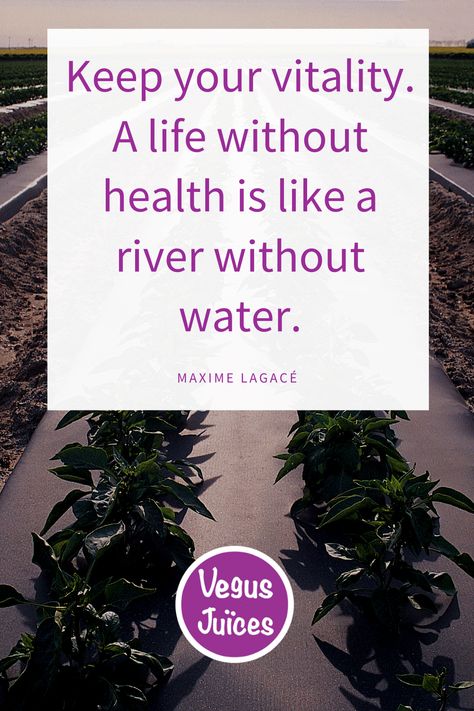 Vitality Quotes, Quotes Health, Health And Wellness Quotes, Organic Juice, Wellness Quotes, Health Quotes Motivation, Mindful Living, Quote Quotes, Health Quotes