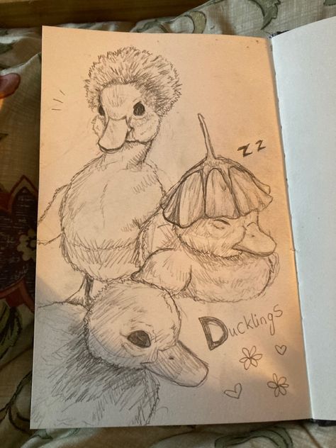 Drawing Animals As Humans, A Duck Drawing, Scary Duck Drawing, 2 Ducks Drawing, Giraffe Drawings Easy, Simple Kitten Drawing, Cute Aesthetic Animal Drawings, Drawing Ideas Shading Sketch, Funny Animal Sketches