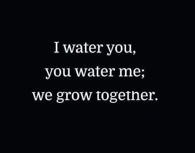 Beautiful! :-) - I water you, you water me; we grow together - #couple #together #water #nurture #support #grow #ride Growing Couples Quotes, Grind Together Quotes Couples, Partner Who Supports You Quotes, Couples Growing Together Quotes, Growth Couple Quotes, We Are Good Together Quotes, Growing In Love Quotes, Growing In Love Together, Growing In Relationships Quotes