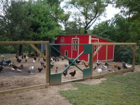 Chicken Coop Hacks, Reban Ayam, Large Chicken Coop, Duck Coop, Easy Chicken Coop, Portable Chicken Coop, Chicken Pen, Chicken Coop Run, Diy Chicken Coop Plans