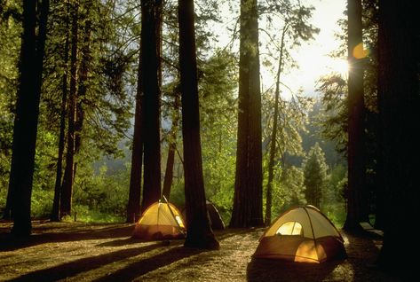 Two Missouri campsites ranked among ‘best in the Midwest’ Indiana Dunes State Park, Petit Jean State Park, Dispersed Camping, Cloudland Canyon, Mendocino Coast, Lassen Volcanic National Park, California Camping, Indiana Dunes, Backcountry Camping