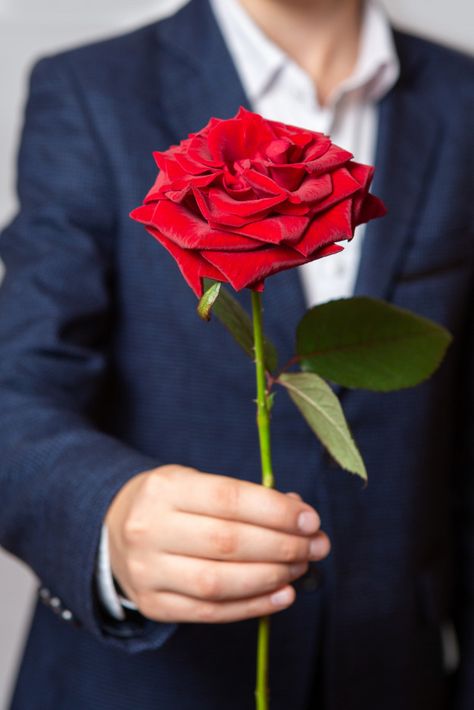 A teenager holds a red rose in his hand.... | Premium Photo #Freepik #photo #flower Rose In Hand, Rose Pic, Rose Flower Photos, Love Rose Flower, Red Roses Wallpaper, Single Red Rose, Rose Flower Pictures, Rose Gold Wallpaper, Belle Rose