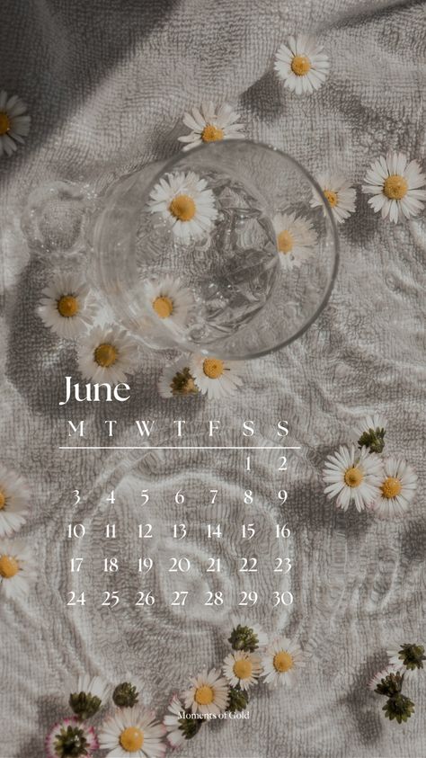 June 2024 Calendar Wallpaper, Phone Wallpaper, Summer Vibes, Daisies, Summer Aesthetic, Monthly Wallpaper Design June 2024 Calendar, June Aesthetic Month, June Aesthetic Wallpaper, Aesthetic Daisies, Phone Wallpaper Summer, Wallpaper Summer Vibes, June Wallpaper, July Wallpaper, Hello Wallpaper