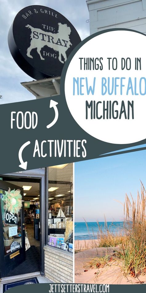 things to do in new buffalo michigan Palm Springs Hiking, Michigan Beach Vacations, Lake Michigan Vacation, Michigan Beach Towns, New Buffalo Michigan, Lake Michigan Lighthouses, Michigan Travel Destinations, Indiana Dunes National Park, Lake Michigan Beach