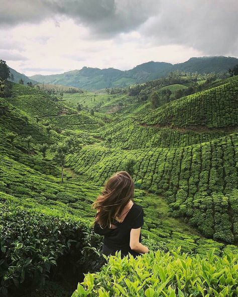 Beauty of Munnar, #Kerala Nature, Munnar Photography Travel, Wallpaper Laptop Summer, Usernames Instagram, Float Trip Food, Summer Wallpaper Laptop, Backgrounds Ocean, Iphone Wallpaper Summer, Sitting On A Beach