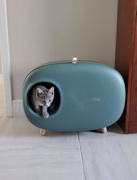Mid Century Modern Cat Bed, Cat Products Pet Care, Cute Cat Things To Buy, Cat Must Haves Products, Must Have Cat Products, Cat Products For The Home, Cat Assesories Aesthetic, Best Cat Products, Cute Cat Products
