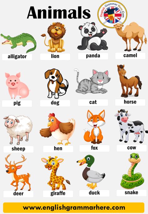 Animal Names, List of Animals in English Table of Contents ANIMALS IN ENGLISHDomestic AnimalsBirdsMammalsInsectsReptilesSea AnimalsFarm AnimalsWild Animals ANIMALS IN ENGLISH Animals Name With Picture, Animals Name List, Aktiviti Prasekolah, Animals Name In English, Animal Pictures For Kids, English Activities For Kids, Animal Names, English Worksheet, Learning English For Kids