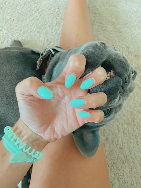 Teal Nails Western, Aqua Tips Nails, Teal Short Square Nails, Aqua Nails Short, White Teal Nails, Teal Green Nail Ideas, Preppy Solid Color Nails, Cute Teal Nail Ideas, Teal Vacation Nails