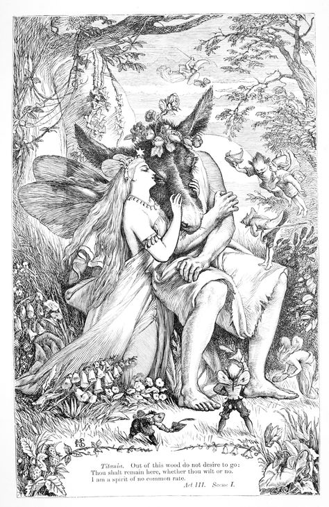 To Browse or Not to Browse? 3,000 Victorian Illustrations of Shakespeare Published Online Vintage Witch Art, Hybrid Art, Victorian Illustration, Sea Illustration, Fairy Paintings, A Midsummer Night’s Dream, Fairy Illustration, Vintage Witch, Fairy Aesthetic