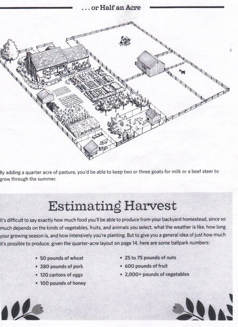 half acre Homestead Layout, Acre Homestead, Farm Plans, Rain Water Collection System, Farm Layout, Homestead Farm, Homesteading Skills, Mini Farm, Backyard Farming