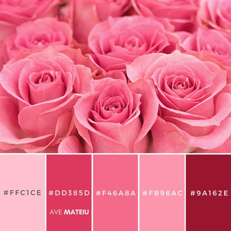 14 Valentine’s Day Color Palettes 2023 with hex codes - Color combination, Color pallets, Color palettes, Color scheme, Color inspiration, Colour Palettes, Art, Inspiration, Vintage, Bright, Blue, Warm, Dark, Design, Yellow, Green, Grey, Red, Purple, Valentine, Fall, Autumn, Winter, Christmas 2023, Nature, Spring, Summer, Flowers, Sunset, Sunrise, Pantone Romance Colour Palette, Rose Color Palette Colour Schemes, Berry Pink Color Palette, Wedding Pink Palette, Valentine's Day Color Palette, Valentines 2024 Trends, Valentine’s Day Color Palette, Rose Pink Color Palette, Pink Color Palette Colour Schemes