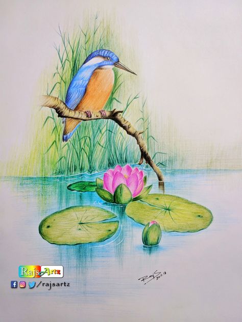 Quiet Nature- Color Pencil Art – Arts With Nakum Rajesh Pencil Drawings Of Nature, Watercolor Pencil Art, Color Pencil Sketch, Color Pencil Illustration, Bird Watercolor Paintings, Nature Art Drawings, Colored Pencil Artwork, Oil Pastel Art, Oil Pastel Drawings