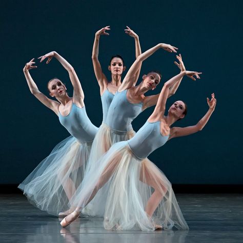 Miami City Ballet dancers in Serenade. Photo © Gene Schiavone. Salsa Dance Lessons, La Bayadere, Dance Picture Poses, Ballet Posters, Miami City, Ballet Beauty, Dance Photography Poses, Ballet Poses, Ballet Inspiration