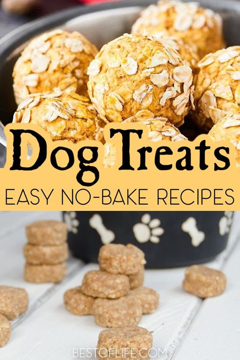 Leon, Homemade Dog Treats No Bake, Homemade Dog Treats Without Peanut Butter, Dog Treats With Coconut Oil, Dog Treats Without Peanut Butter, Soft Dog Treats Homemade, Homemade Soft Dog Treats, 2 Ingredient Dog Treats, Diy Dog Treats Healthy