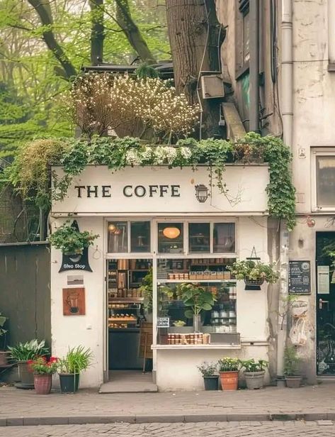 Old Coffee Shop Exterior, Aesthetic Cafe Building, Small Cafes Ideas, Small Book Cafe Ideas, Backyard Coffee Shop Ideas, Floral Coffee Shop Aesthetic, Cottagecore Cafe Interior, Botanical Coffee Shop, Small Cafe Exterior