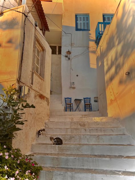 Towns Aesthetic, Cats Flowers, Mediterranean Aesthetic, Naxos Greece, Naxos Island, Island Town, Stray Cats, Aesthetic Travel, Travel Greece