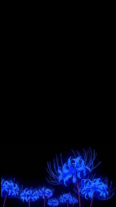 #DemonSlayer #Bluespiderlilly #Wallpaper #IOSwallpaper #Phonebackground Blue Spider Lily Wallpaper, Lilly Wallpaper, Spider Lilly, Walpapper Vintage, Black And Blue Wallpaper, Flowers Black Background, Jelly Wallpaper, Iphone Dynamic Wallpaper, Red Spider Lily