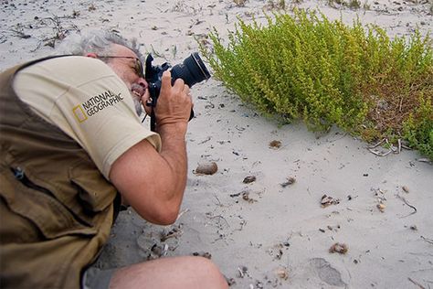 What it Takes to Be a National Geographic Photographer Photo Tips, National Geographic Photographers, Conservation Biology, Director Of Photography, National Geographic Magazine, The Director, When I Grow Up, What It Takes, It Takes