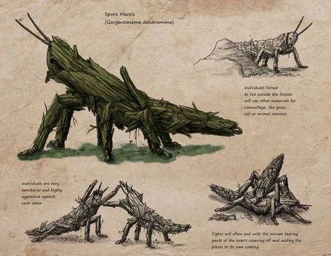 Forest / Plant Creatures - Imgur King Kong Skull Island, Defense Mechanism, Creature Fantasy, Stick Insect, Mythical Monsters, Skull Island, Kaiju Monsters, Fantasy Beasts, Fantasy Creatures Art