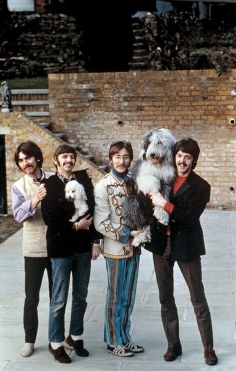 Old English Sheepdog, George Harrison, Martha My Dear, Beatles Love, Beatles Photos, Beatles Pictures, Beatles John, The Fab Four, Ringo Starr